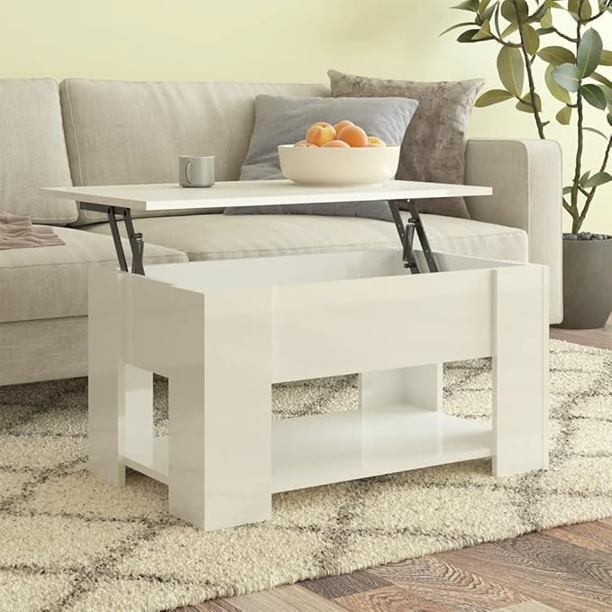 Modern Wood Coffee Table with Storage Shelf