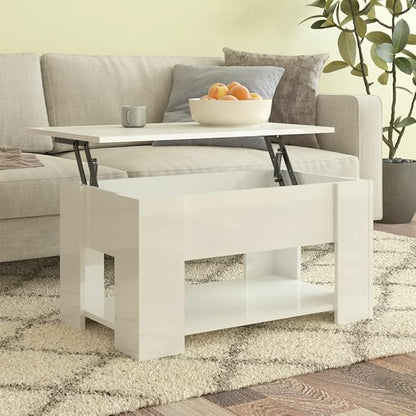 Modern Wood Coffee Table with Storage Shelf