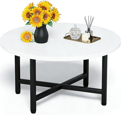 Modern Oval Coffee Table with Storage Shelf