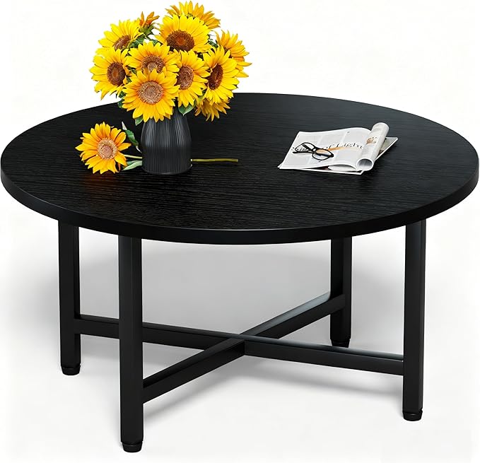 Modern Oval Coffee Table with Storage Shelf