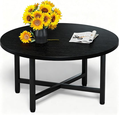Modern Oval Coffee Table with Storage Shelf