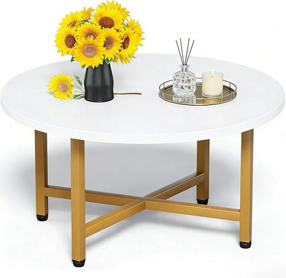 Modern Oval Coffee Table with Storage Shelf