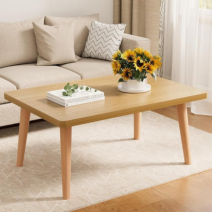Modern Oval Coffee Table with Storage Shelf