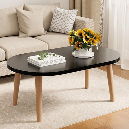 Modern Oval Coffee Table with Storage Shelf