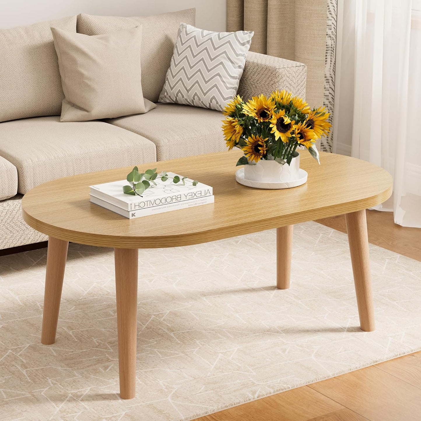 Modern Oval Coffee Table with Storage Shelf