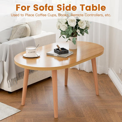 Modern Oval Coffee Table with Storage Shelf
