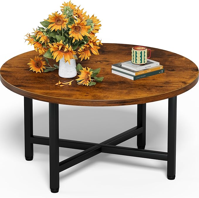 Modern Oval Coffee Table with Storage Shelf