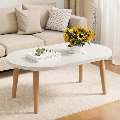 Modern Oval Coffee Table with Storage Shelf