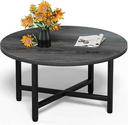 Modern Oval Coffee Table with Storage Shelf