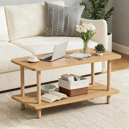 Modern Oval Coffee Table with Storage Shelf