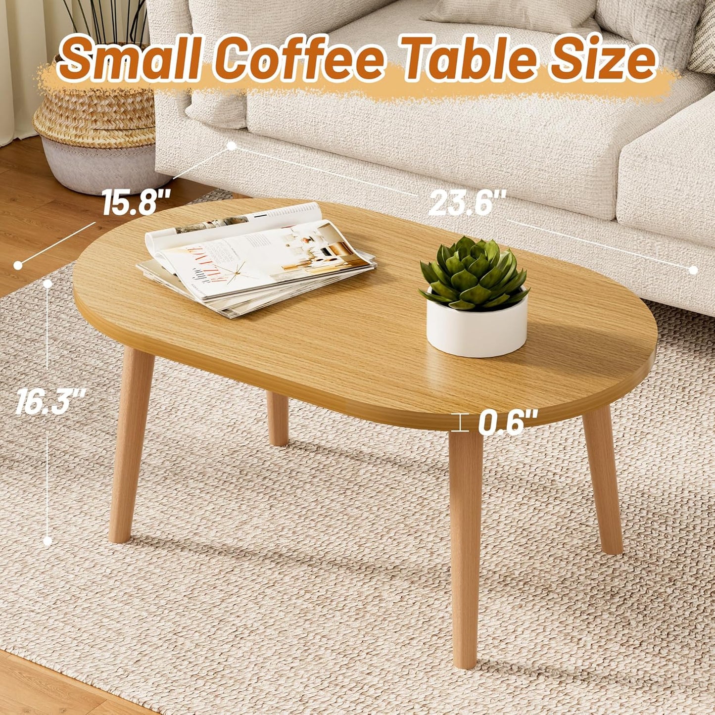 Modern Oval Coffee Table with Storage Shelf