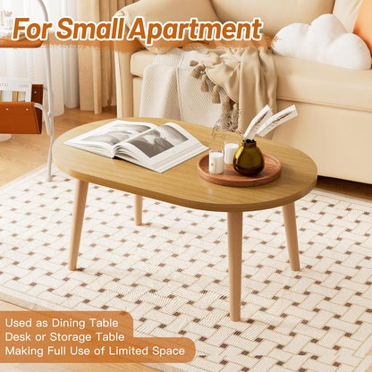 Modern Oval Coffee Table with Storage Shelf